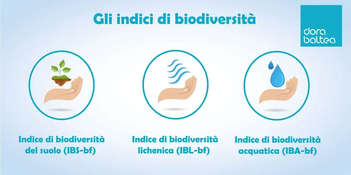 Wasserdaten - Biodiversitätsindex - Nachhaltigkeit von Abwasser