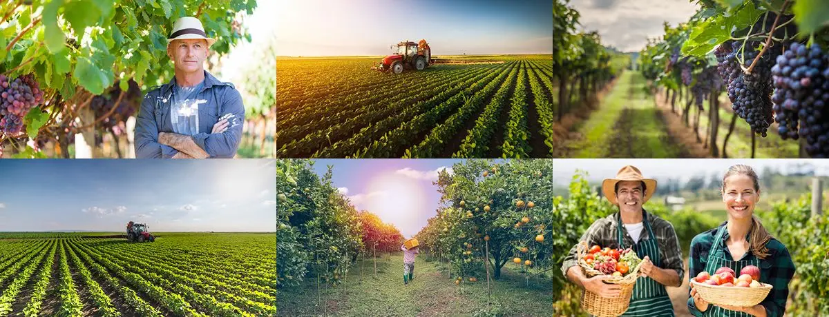 fitoblock-sicurezza-1200px.webp